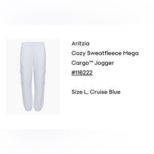 Aritzia Cozy Sweatfleece Mega Cargo Jogger - Blue